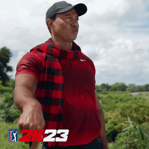 Tiger Woods Funny Golfing Meme GIF