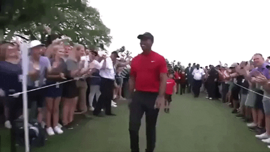 Tiger Woods Hand Tapping Fans GIF