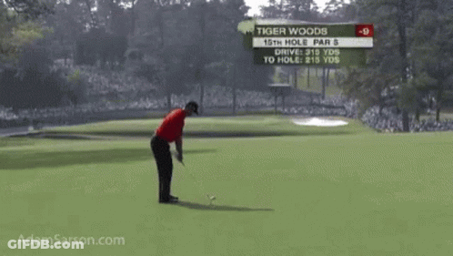 Tiger Woods Is Playing The 15Th Hole Par 5 GIF