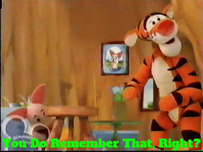 Tiger You Do Remember That Right GIF