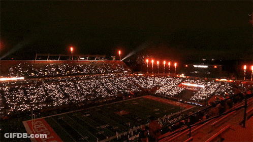 Tigers Football Field With Fireworks GIF