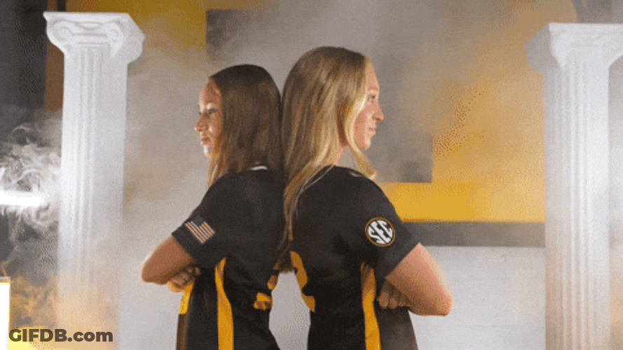 Tigers Mizzou Athletics Missouri GIF
