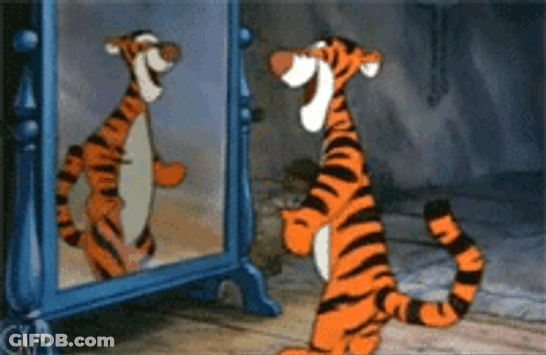 Tigger Dancing Mirror Reflection GIF