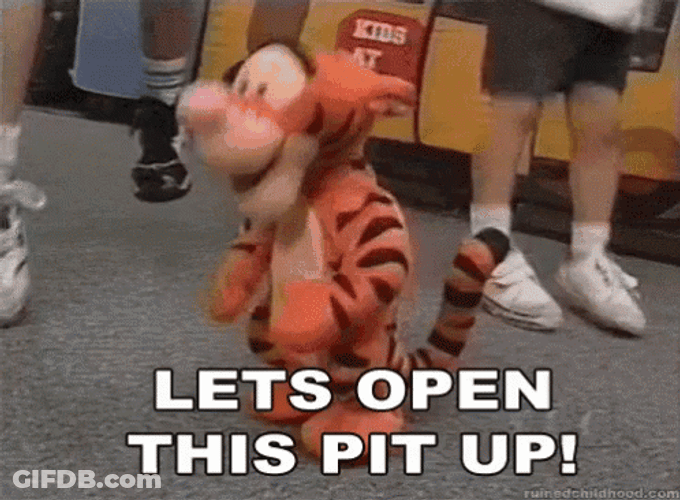 Tigger Dancing With Crowd In Mosh Pit GIF