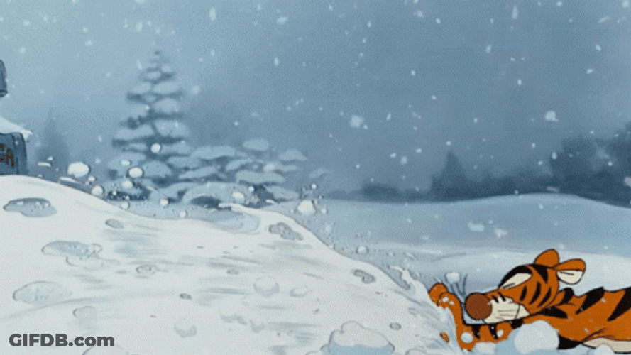 Tigger Enjoying The Snow GIF