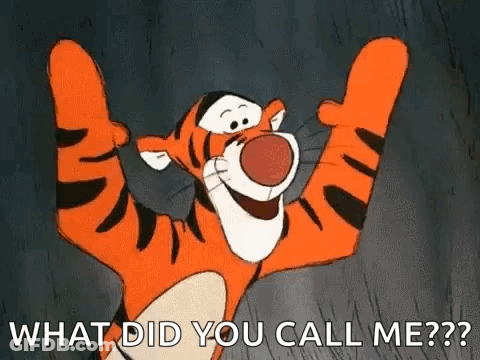 Tigger From Winnie The Pooh Is Raising His Arms In The Air And Asking What Did You Call Me . GIF