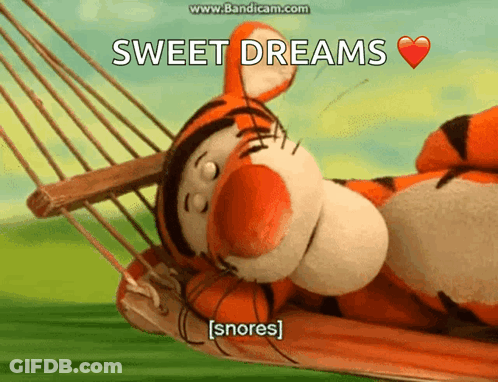 Tigger Laying In Hammock Sweet Dreams Snores GIF