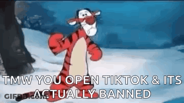 Tigger Sad GIF
