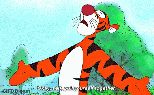 Tigger Saying Okay Self Pull Yourself Together GIF