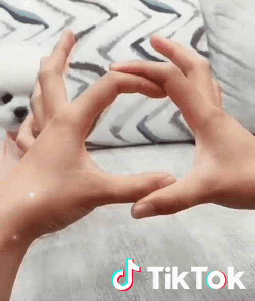 Tiktok Cute Pomeranian GIF
