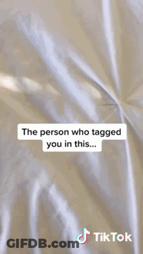 Tiktok Dog GIF