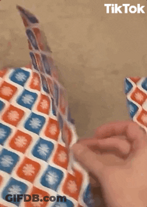 Tiktok Dog Present GIF