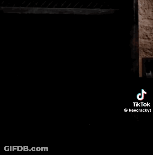 TikTok Logo In Corner GIF