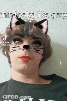 TikTok Person With Cat Ears GIF
