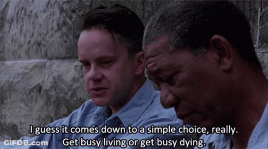 Tim Robbins And Morgan Freeman Shawshank Redemption GIF