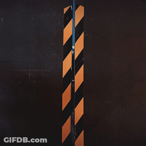 Tim Robinson Elevator Exit Salute Meme GIF