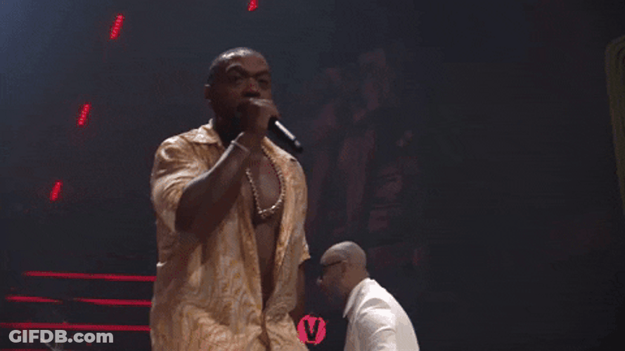 Timbaland Performing On Stage GIF