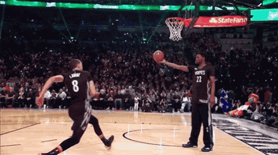Timberwolves Lavine GIF