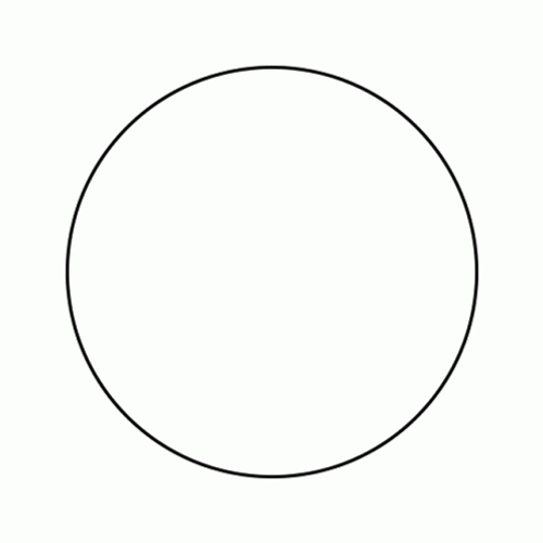 Time Is A Flat Circle Sealliner Cat GIF