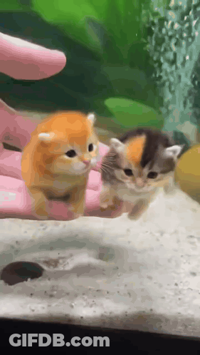 Time Limit Message On Cell Phone GIF