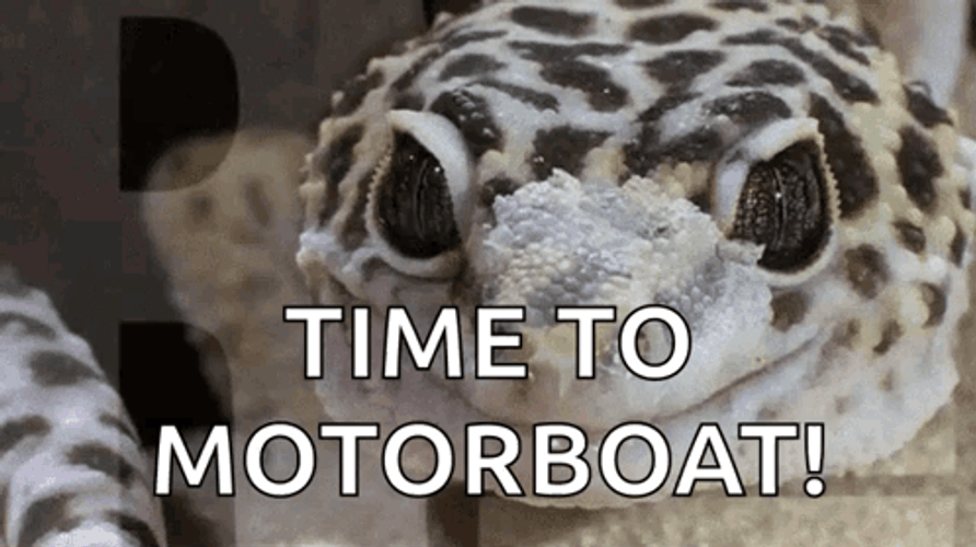 Time To Motorboat GIF
