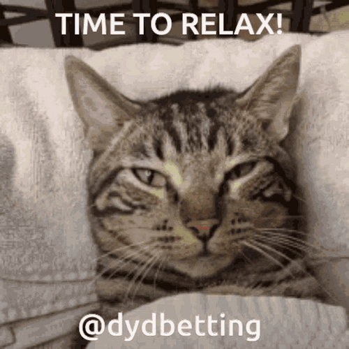 Time To Relax Cat GIF