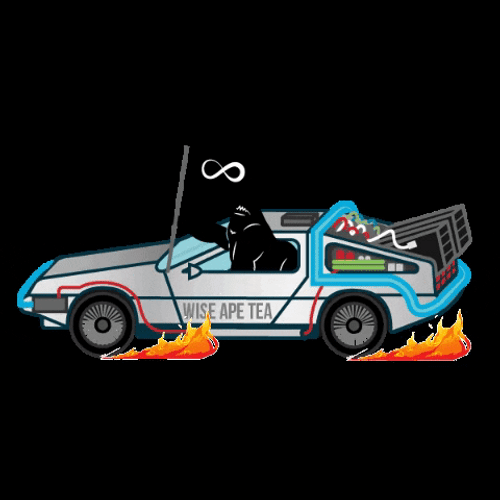 Time Travel Back To The Future Animated Art GIF