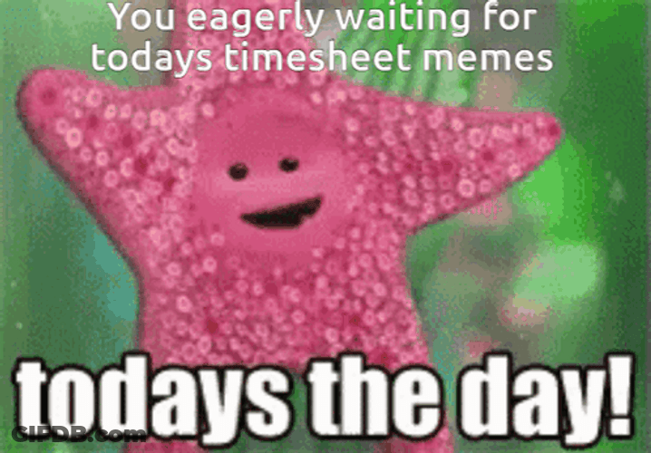Timesheet Excited Pink Starfish GIF