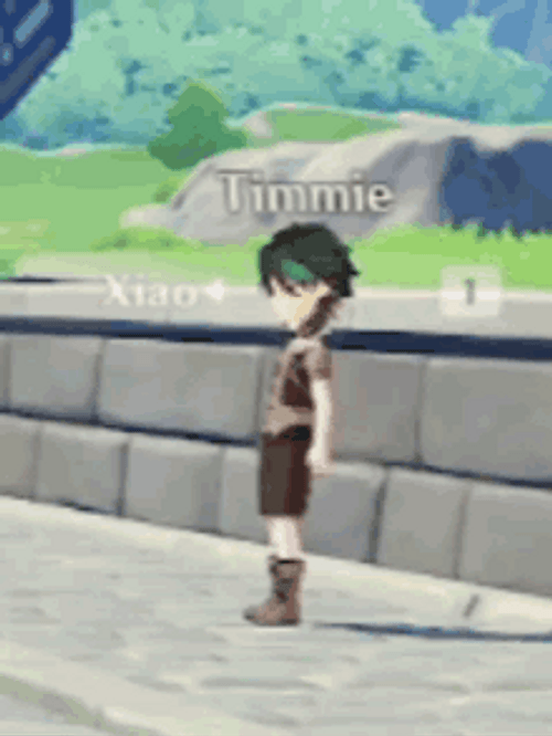 Timmie Vs Xiao GIF