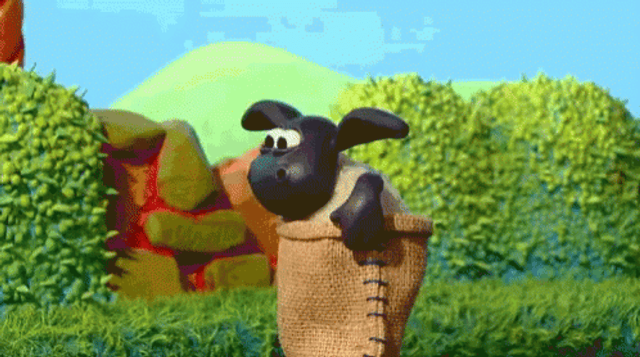Timmy's Sack Race Day GIF
