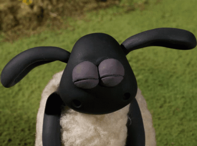 Timmy Shaun The Sheep GIF