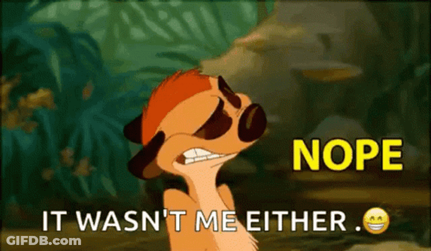 Timon It Wasnt Me Either GIF