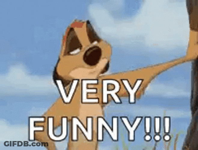Timon Sarcastic Very Funny GIF
