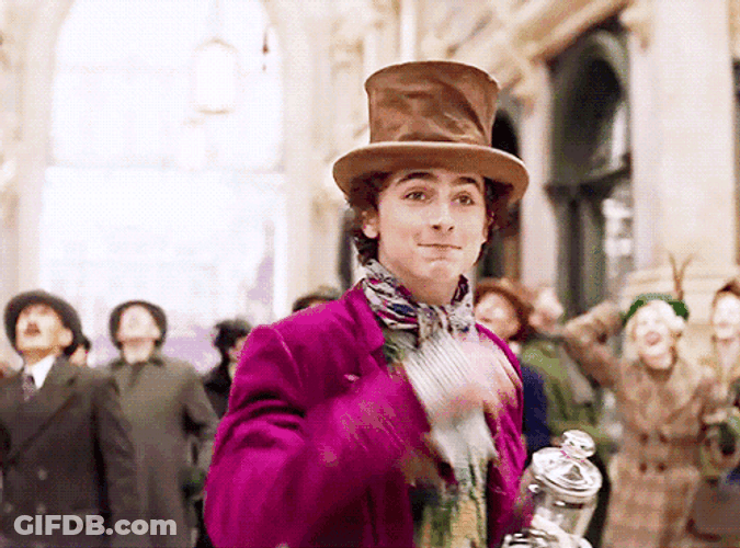 Timothée Chalamet As Wonka GIF