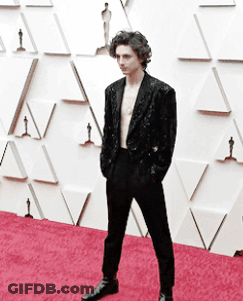 Timothée Chalamet At Oscars 2022 GIF