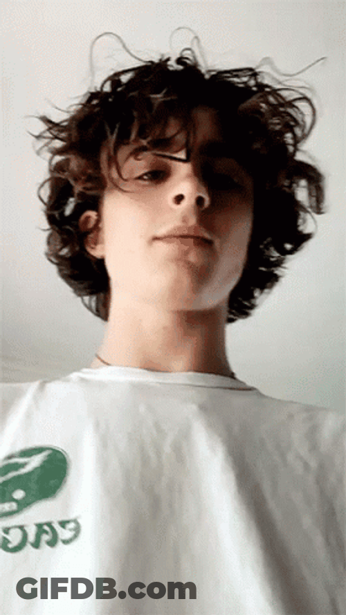 Timothée Chalamet Curly Hair Flex GIF