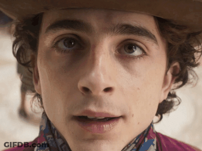 Timothée Chalamet Dog Transition GIF