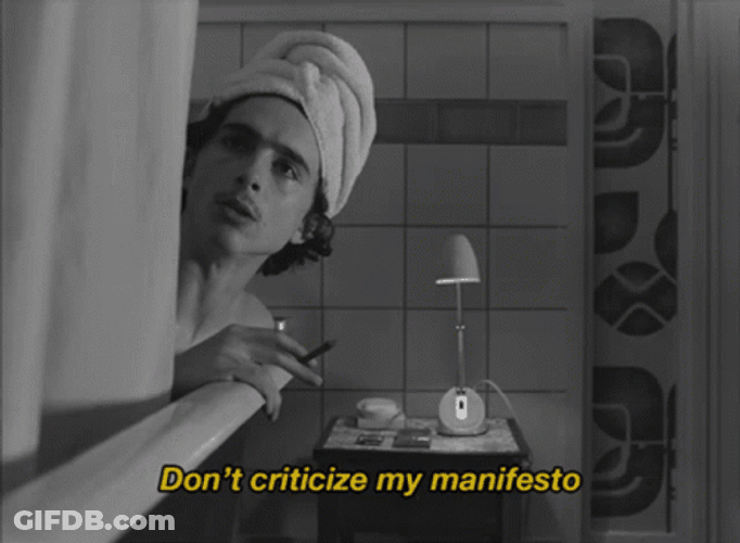 Timothée Chalamet Don't Criticize GIF