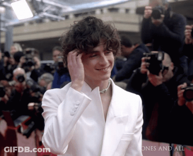 Timothée Chalamet Hair Fix GIF