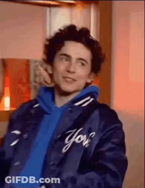 Timothée Chalamet Hoodie GIF