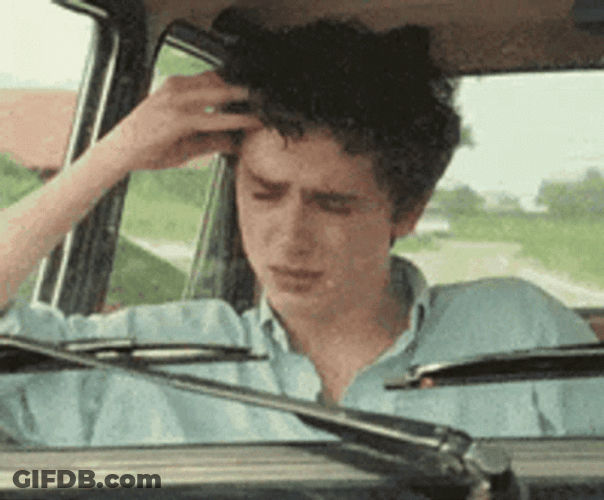 Timothée Chalamet I Hurt Myself Today GIF