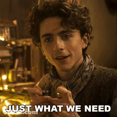 Timothée Chalamet Just What We Need GIF