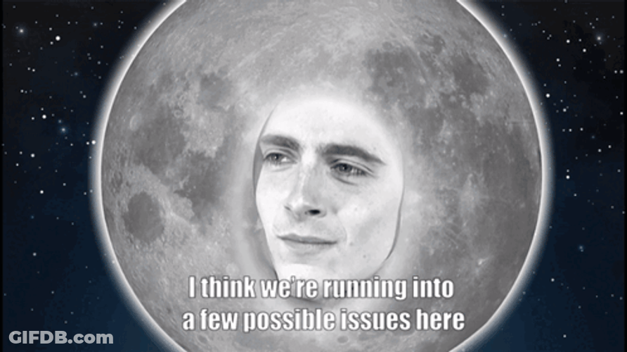Timothée Chalamet My Moon GIF