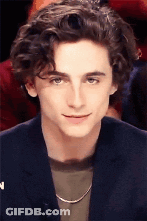Timothée Chalamet Stare GIF