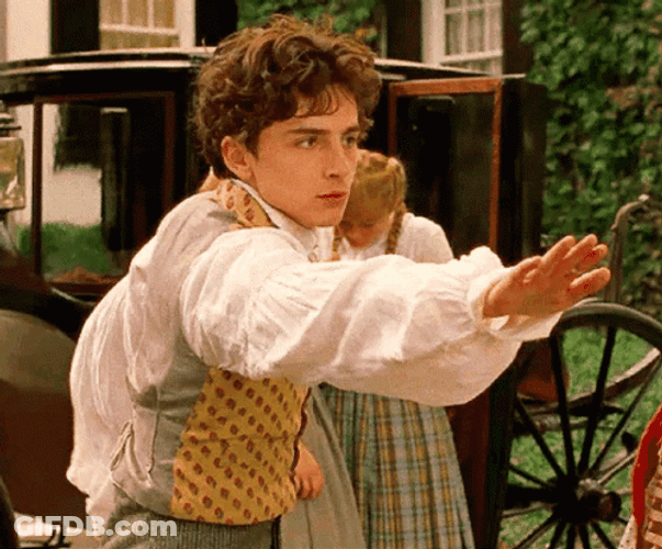 Timothée Chalamet Teddy Laurie GIF