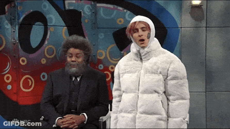 Timothée Chalamet White Hoodie GIF