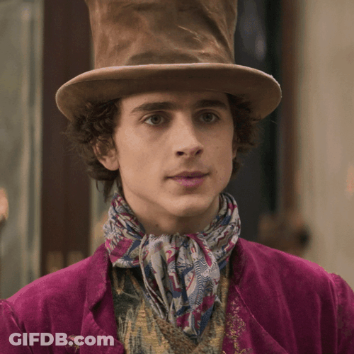 Timothée Chalamet Wonka Nods GIF
