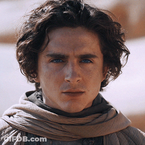 Timothée Chalamet Zooming In GIF