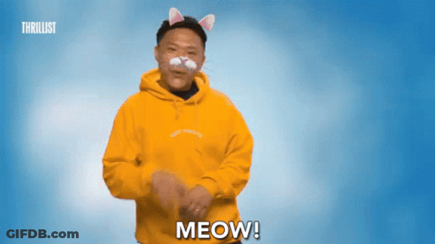 Timothy Dela Ghetto Meow GIF
