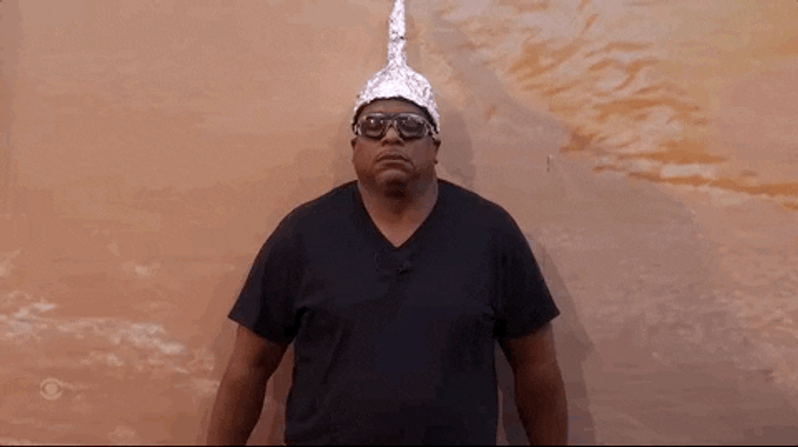 Tin Foil Hat Worn By Big Brother GIF